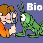 Group logo of Biology - Classification of living things