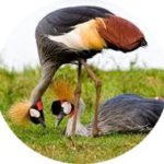 Group logo of 7.1 Learning Spaces