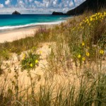 Group logo of MoES Uganda